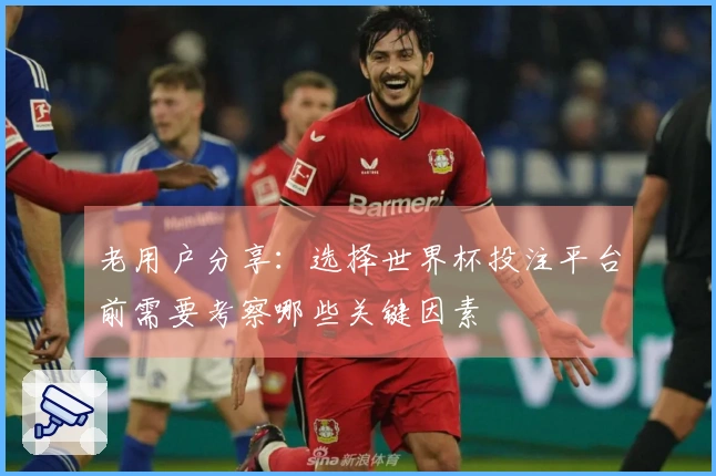 老用户分享：选择世界杯投注平台前需要考察哪些关键因素