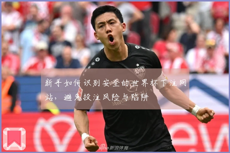 新手如何识别安全的世界杯下注网站，避免投注风险与陷阱