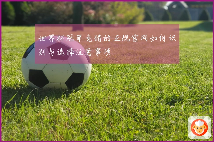 世界杯冠军竞猜的正规官网如何识别与选择注意事项