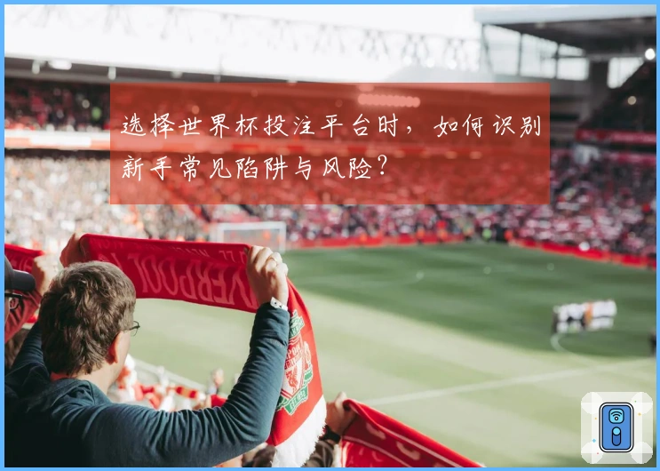 选择世界杯投注平台时，如何识别新手常见陷阱与风险？
