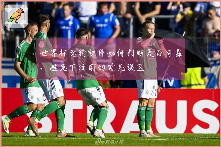 世界杯竞猜软件如何判断是否可靠，避免下注前的常见误区