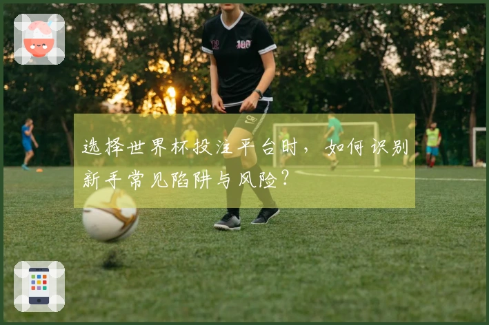 选择世界杯投注平台时，如何识别新手常见陷阱与风险？